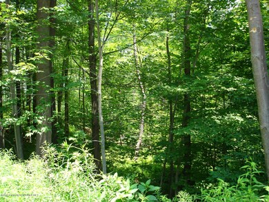 0 Gardner Rd unit GSB131166, Roaring Brook Township, PA 18444 - photo 7