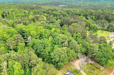Aerial view of a forest