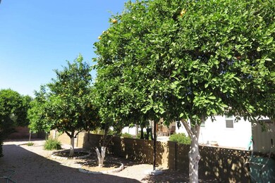 IMG_2457