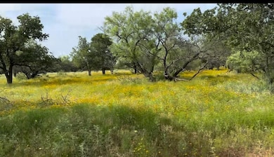 259 Jayden Ln, Loving, TX 76460 - photo 2