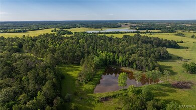 140 Flowers Rd, Fitzpatrick, AL 36029 - photo 3