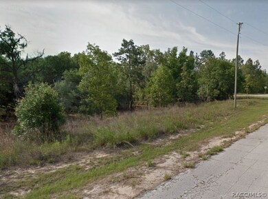 2501 W Bravura Dr, Citrus Springs, FL 34433 - photo 3