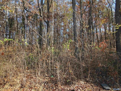 27 Sumner Dr, Scottsboro, AL 35769 - photo 5