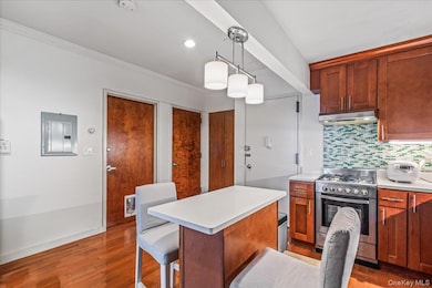 14906 Northern Blvd unit 504, Flushing, NY 11354 - photo 5