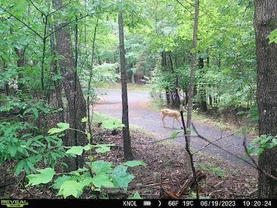 0 Indian Knoll Rd unit 7638013, Cumming, GA 30041 - photo 5