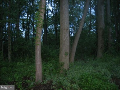 L:2 Lawnton Ave, West Deptford Township, NJ 08096 - photo 2