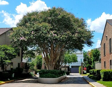 1201 Mcduffie St unit 173, Houston, TX 77019 - photo 7