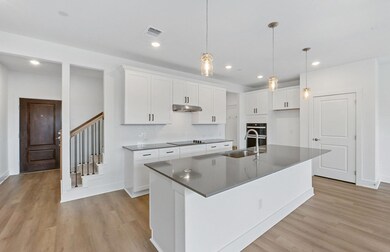 1955 Settlers Glen Dr unit 4403, Round Rock, TX 78665 - photo 6