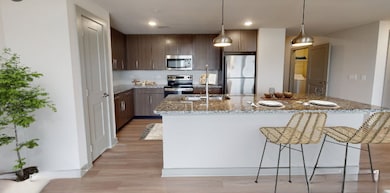 680 E Algonquin Rd unit 1310, Schaumburg, IL 60173 - photo 2