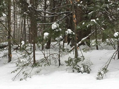 0 Bridgewater Hill Rd, Bridgewater, NH 03222 - photo 6