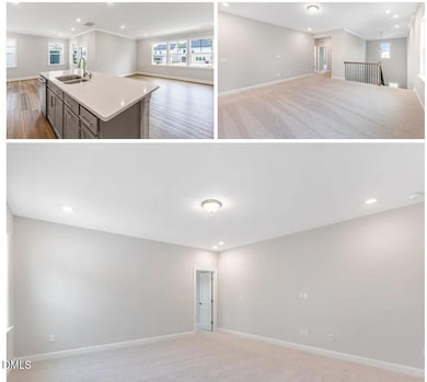 340 Canyon Gap Cir Way, Raleigh, NC 27610 - photo 4