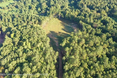 DJI_0511