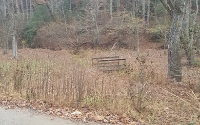 LOT 8 Clay Cir, Morganton, GA 30560 - photo 4