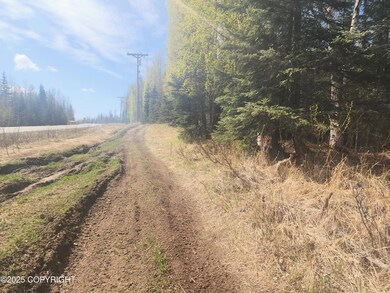 L11 MacKey Lake Rd, Soldotna, AK 99669 - photo 4