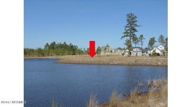 5022 Stoney Point Dr, Leland, NC 28451 - photo 4