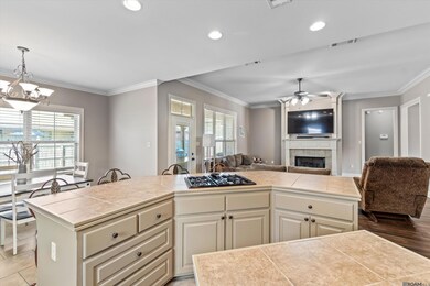 1514 E Tiffani Ave, Gonzales, LA 70737 - photo 6