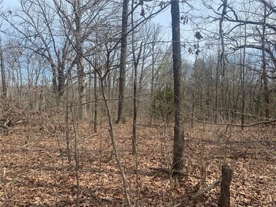 0 Kings Lynn Ln unit 1143367, Bella Vista, AR 72715 - photo 5