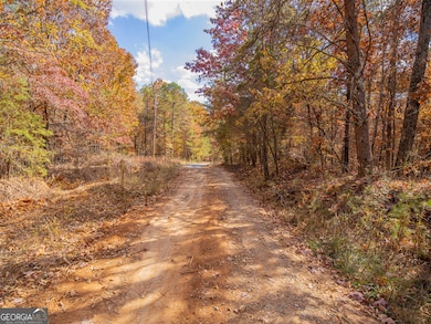 0 Galway Dr unit 10650912, Kingston, GA 30145 - photo 2