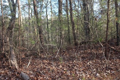 LT 8 Oak Creek Dr, Ellijay, GA 30536 - photo 7