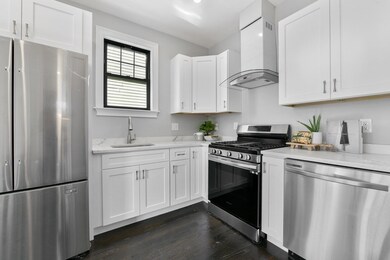 18 Albion St unit 2, Boston, MA 02119 - photo 5