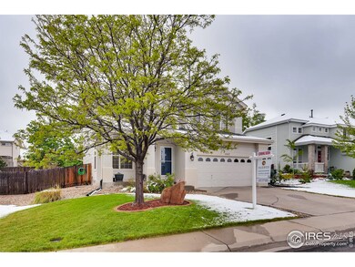 12427 Dexter Way, Thornton, CO 80241 - photo 3