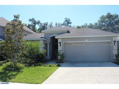 6609 Bluff Meadow Ct, Wesley Chapel, FL 33545 - photo 2