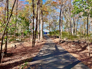 56 Partrick Rd, Westport, CT 06880 - photo 5