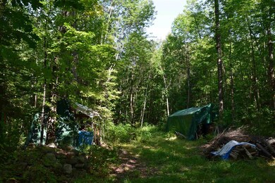 401-18 Harriman Rd, Dalton, NH 03598 - photo 6