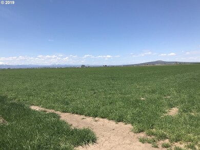 0 SW Tl 200 Culver Hwy unit 19430667, Culver, OR 97734 - photo 5