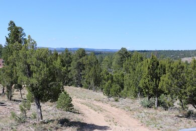 Main Views
