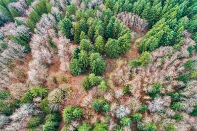 28408 Old 99 N, Stanwood, WA 98292 - photo 6