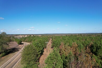 TBD Fm 1650, Gilmer, TX 75645 - photo 4