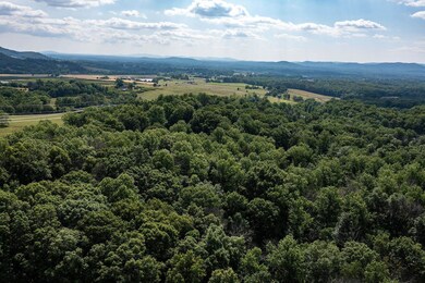 TBD Greenwood Rd, Greenwood, VA 22943 - photo 3