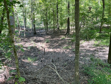 TBD Fm 1745 N, Colmesneil, TX 75938 - photo 3