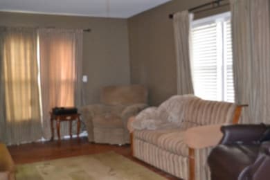 218 E Lake Ave, Celina, TN 38551 - photo 3