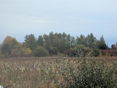 N/A Court St, Au Gres, MI 48703 - photo 7