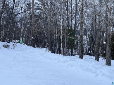 View of snow covered land