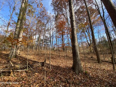 IMG_6412