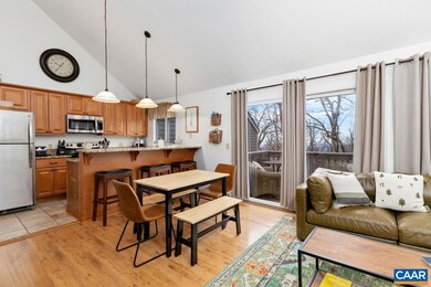 448 Three Ridges Condos, Wintergreen Resort, VA 22967 - photo 5