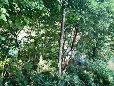 0 Fredonia Rd, Manchester, TN 37355 - photo 4