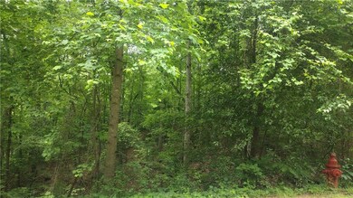 View of tree filled area