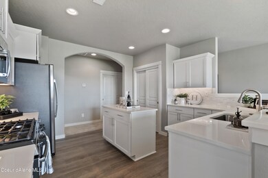 Snowbrush - Kitchen for flush countertop
