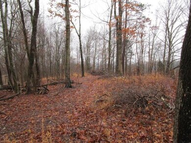 0 Calloway Rd unit 916783, Blaine, TN 37709 - photo 3