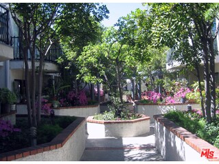 Center Courtyard Facing East