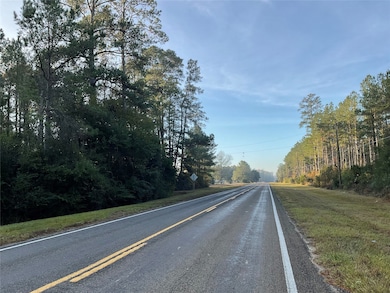 000 Hwy 92s E, Spurger, TX 77660 - photo 3