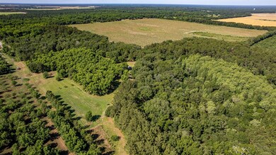 4309 Jimmy Goff Ct, Albany, GA 31705 - photo 4