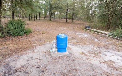 3064 145th Rd, Live Oak, FL 32060 - photo 2