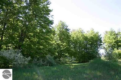 13506 S Bahia Vista Dr unit 17, Traverse City, MI 49684 - photo 3