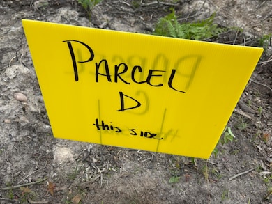 Parcel #D Town Line Rd, Lewiston, MI 49756 - photo 3