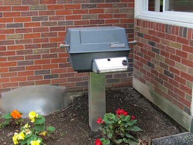 Other. natural gas grill by back porch